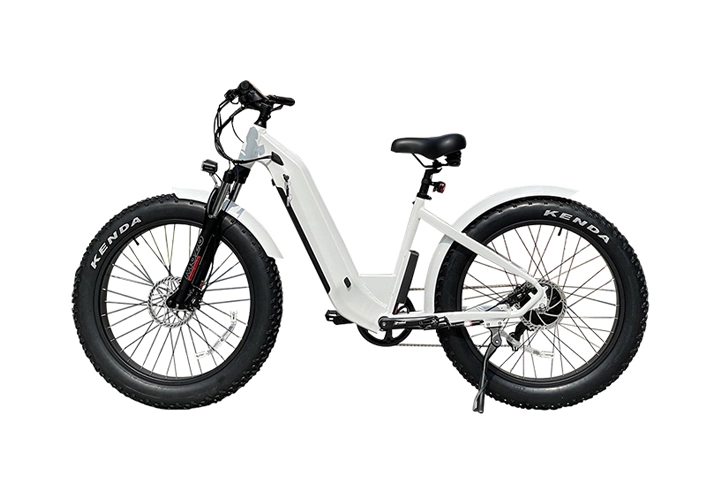 custom electric mountain bike