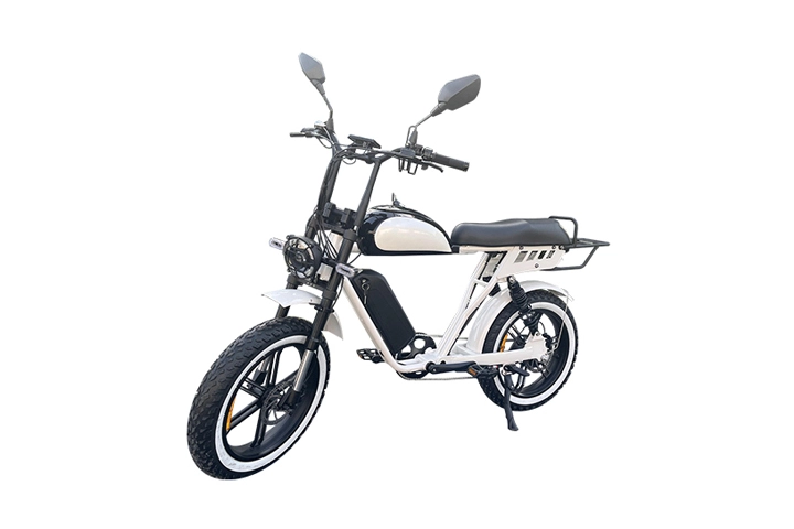 electric cycle fat tyre