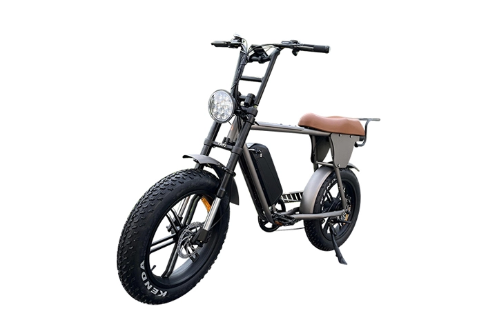 moped style ebike
