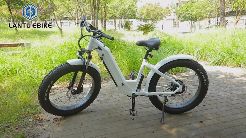 OEM Factory Step Through Fat Tire Electric Mountain Bike for Women