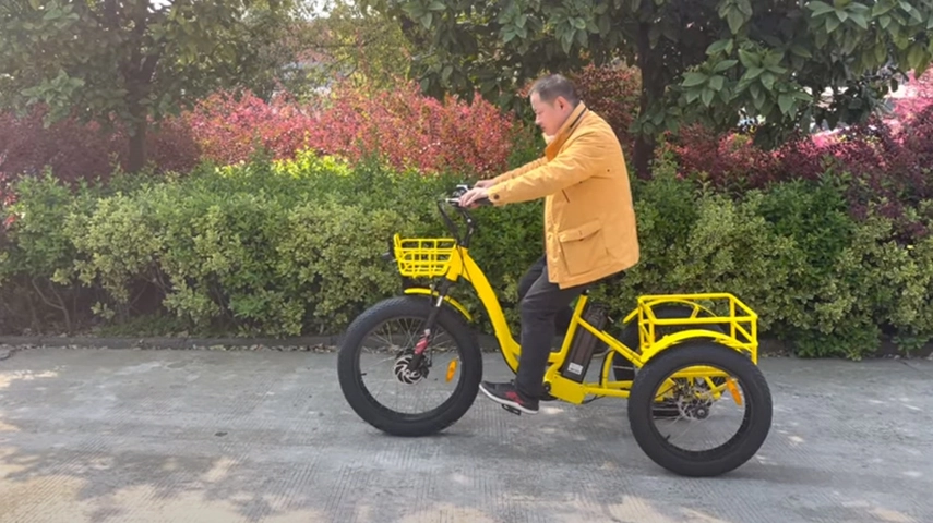 China Best Electric Tricycle Manufacturer