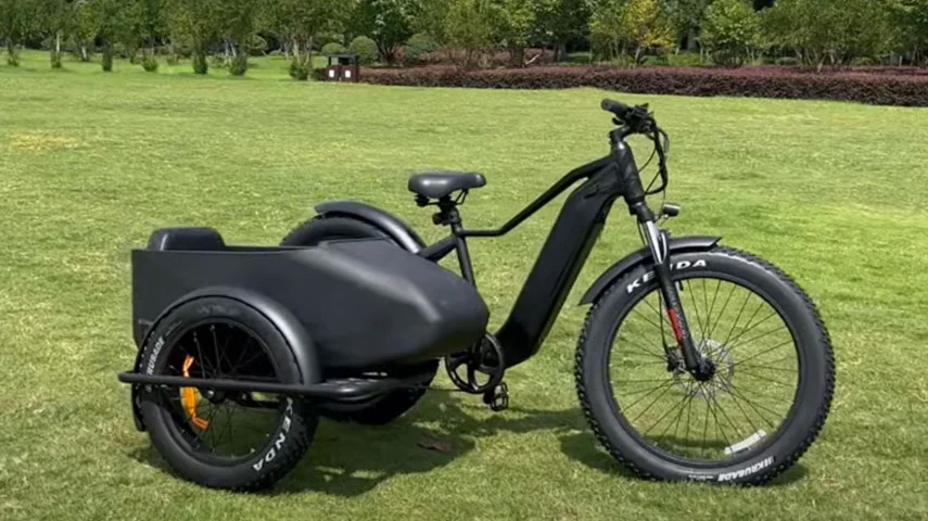 The Coolest Electric Bike With Side Car