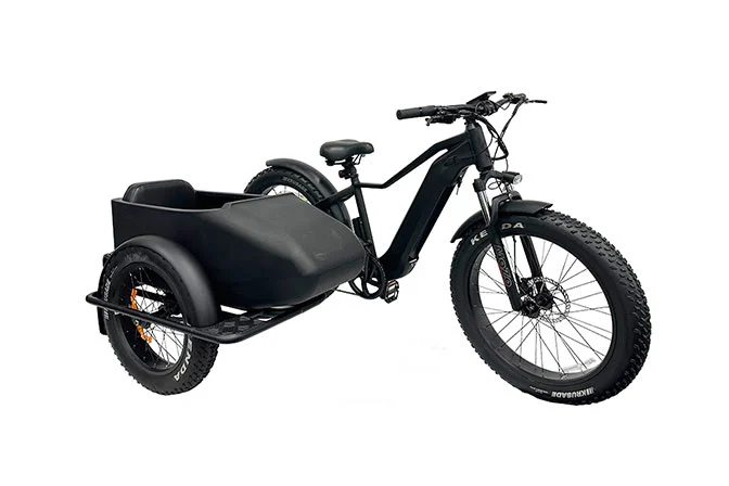 Electric Bike Sidecar Wholesale