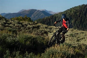 Range and Speed of Electric Mountain Bikes: Unleashing the Charm of Nature
