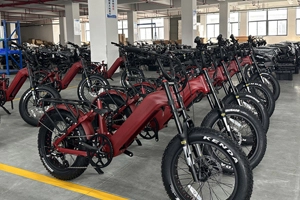 Why choose an OEM ebike factory to cooperate?
