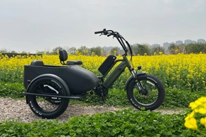 Sidecar electric bike, built for the Future