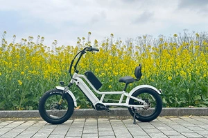 You’ve definitely never seen a semi-recumbent electric bicycle like this