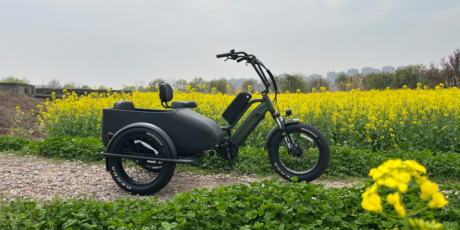 sidecar-electric-bike-built-for-the-future-01.jpg