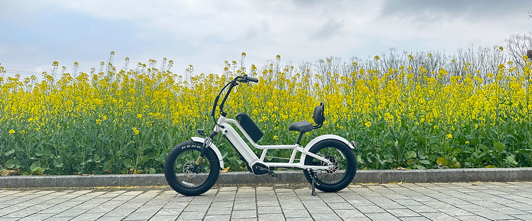 you-ve-definitely-never-seen-a-semi-recumbent-electric-bicycle-like-this.jpg