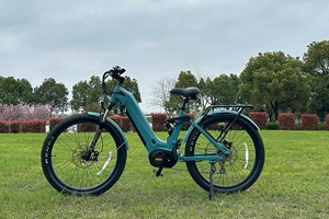 Electric hybrid bikes