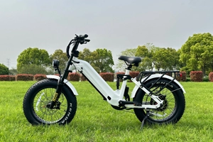 How to Ride an Electric Bike: A Beginner's Guide