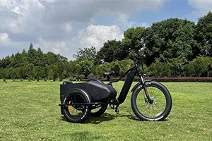 Why are sidecar electric bikes so popular?