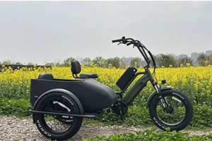 The Electric Sidecar E-Bike: A Fun and Practical Way to Explore
