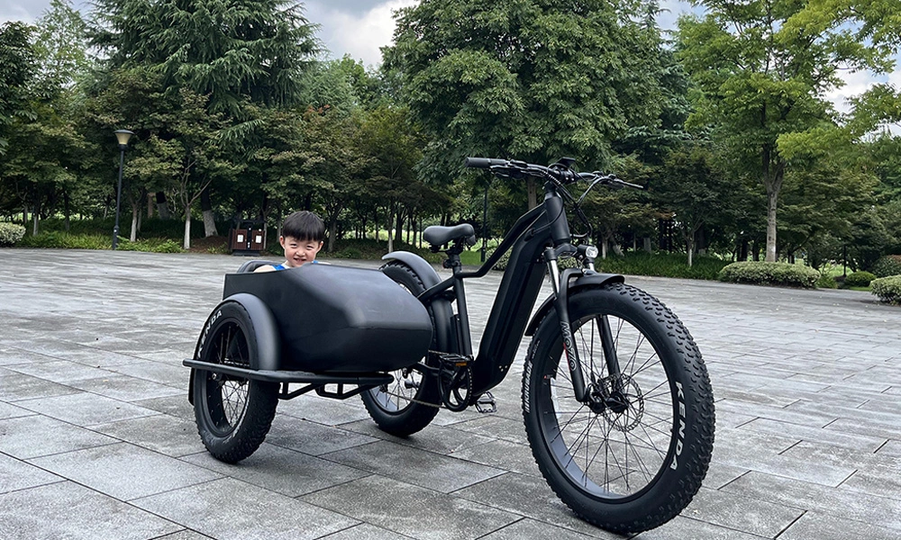 Discover the Ultimate Riding Experience: Electric Bikes with Sidecars