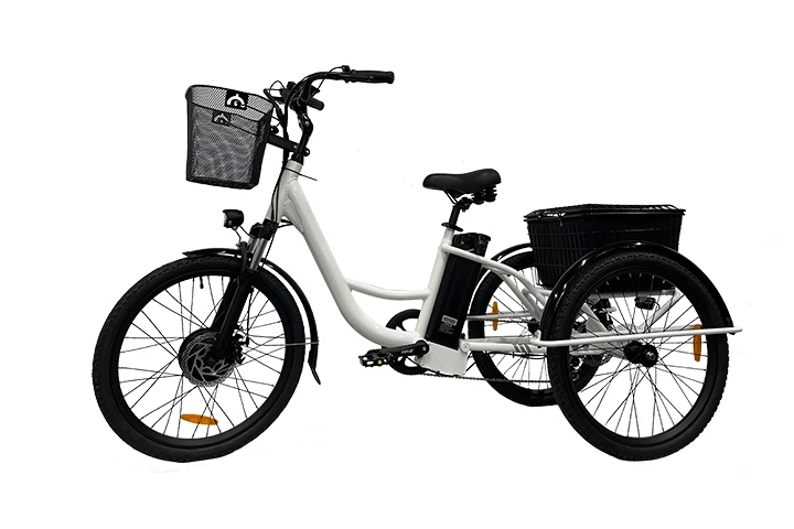 Three Wheel Electric Bike (Lazy Trike)