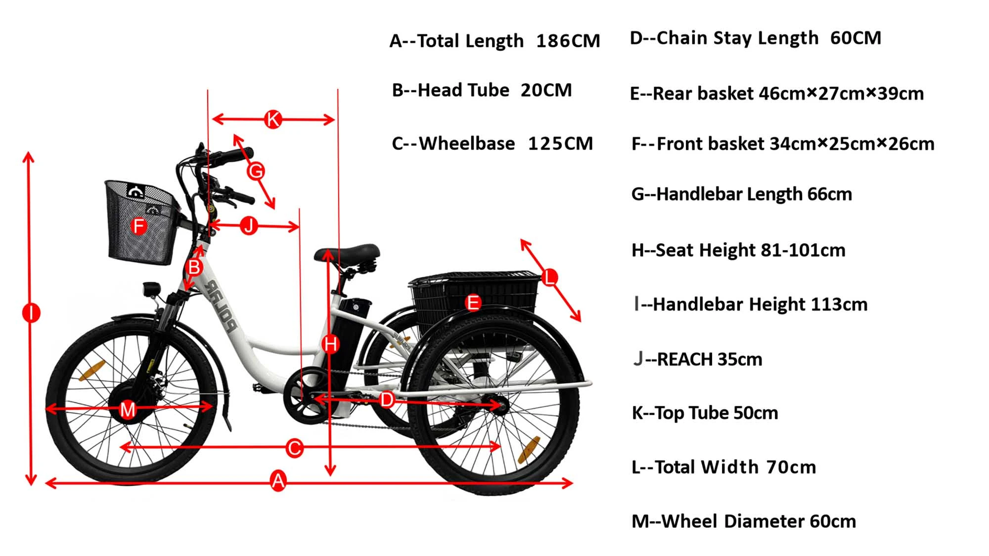 Geometry of 24 Inch 3 Wheel Electric Bicycle with Basket (Polar)