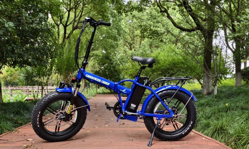 The Rise of Two-Wheeled Electric Vehicles