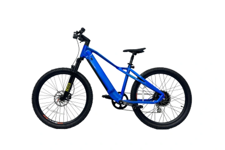 500w Hidden Battery Electric Mountain Bike