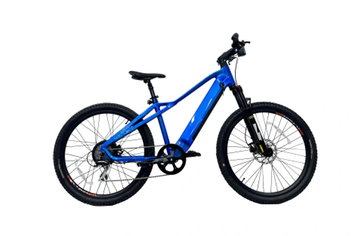 500w Hidden Battery Electric Mountain Bike