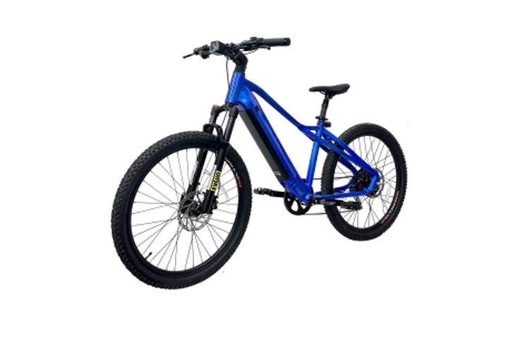 500w Hidden Battery Electric Mountain Bike