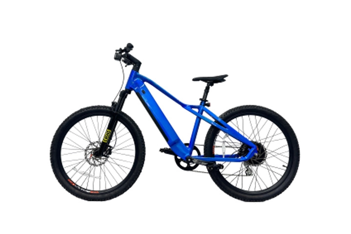 500w Hidden Battery Electric Mountain Bike