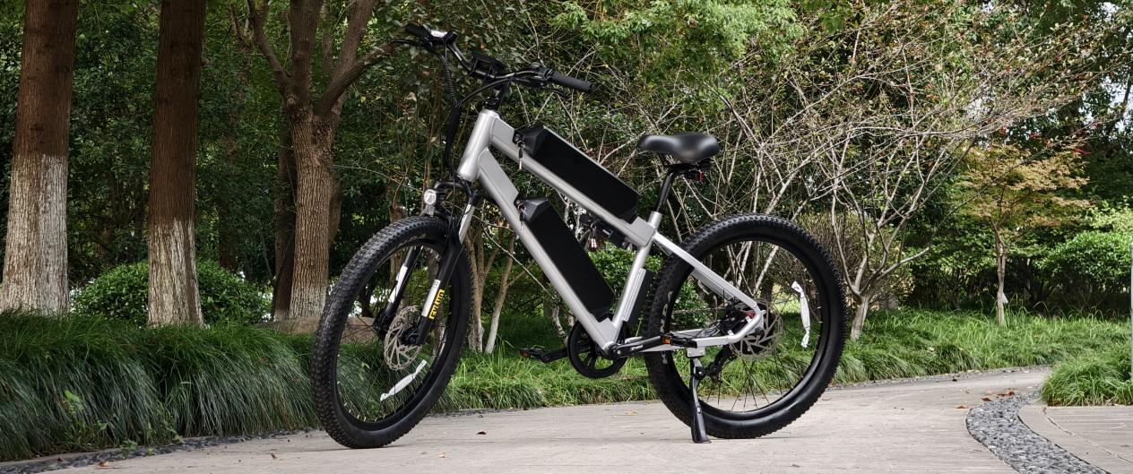 the-future-of-cycling-exploring-dual-battery-electric-bikes.png