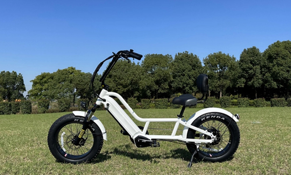 Revving Up Efficiency: The Electric Recumbent Fat E-Bike