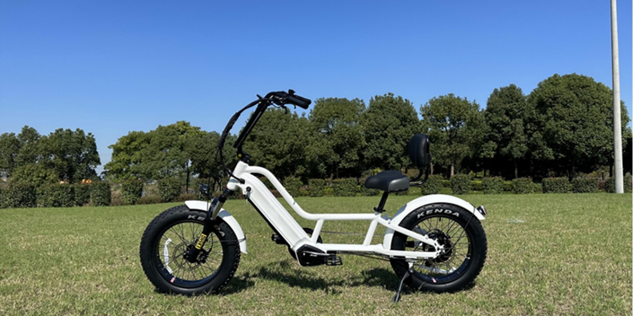 revving-up-efficiency-the-electric-recumbent-fat-e-bike.jpg